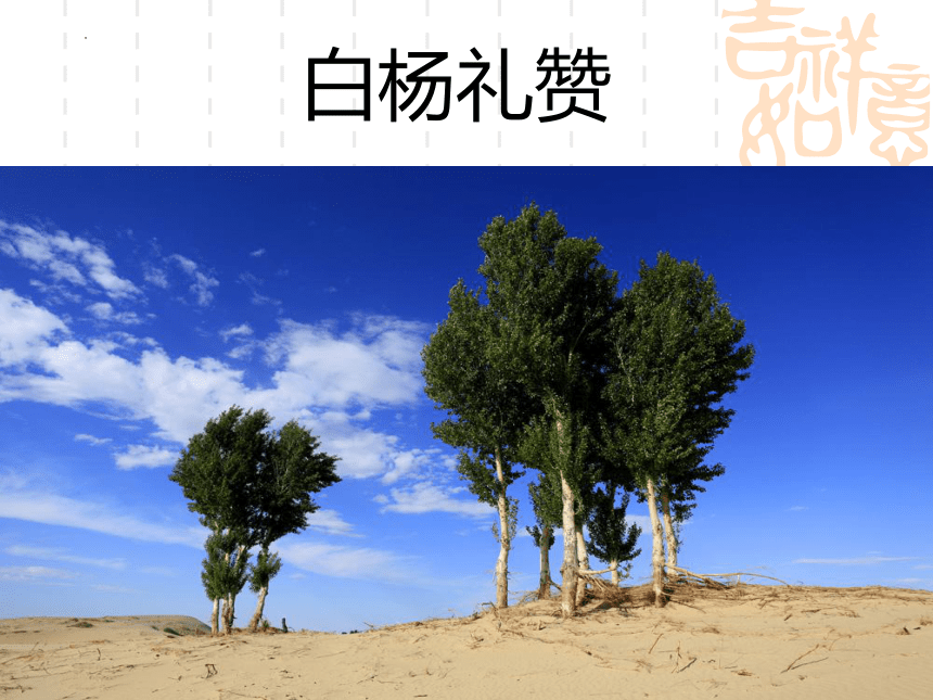 课件预览