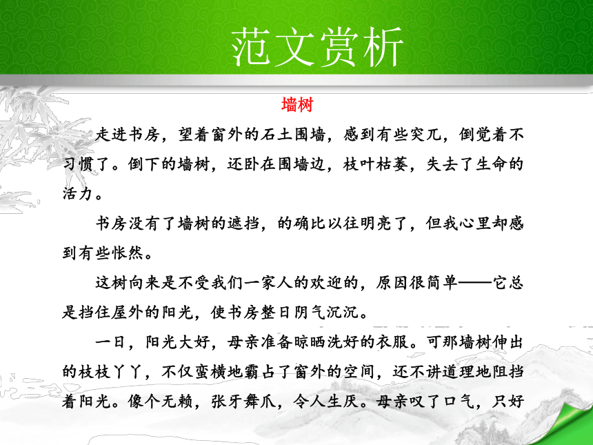 写作 有创意地表达自己的见解 教学课件