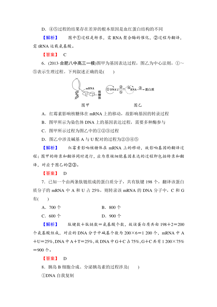 2015《课堂新坐标》高考生物大一轮复习配套课后限时自测卷：+基因的表达+（含解析）