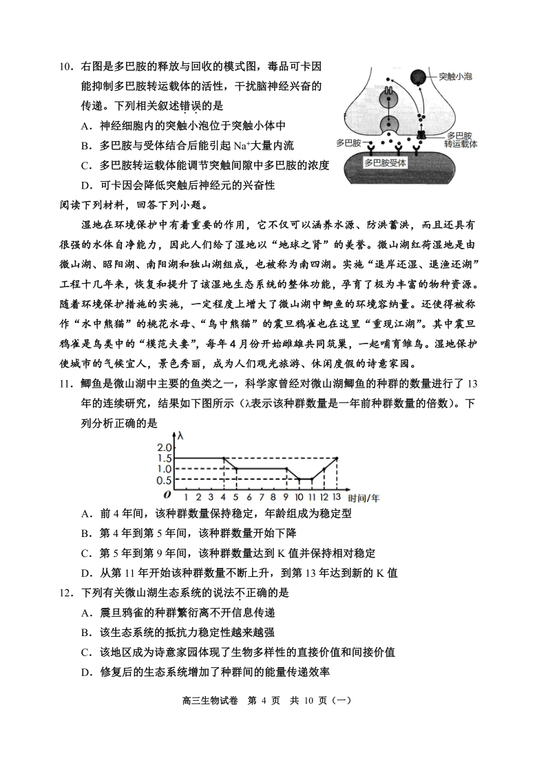 天津市河西区2021届高三下学期3月总复习质量调查（一）（一模）生物试题    含答案