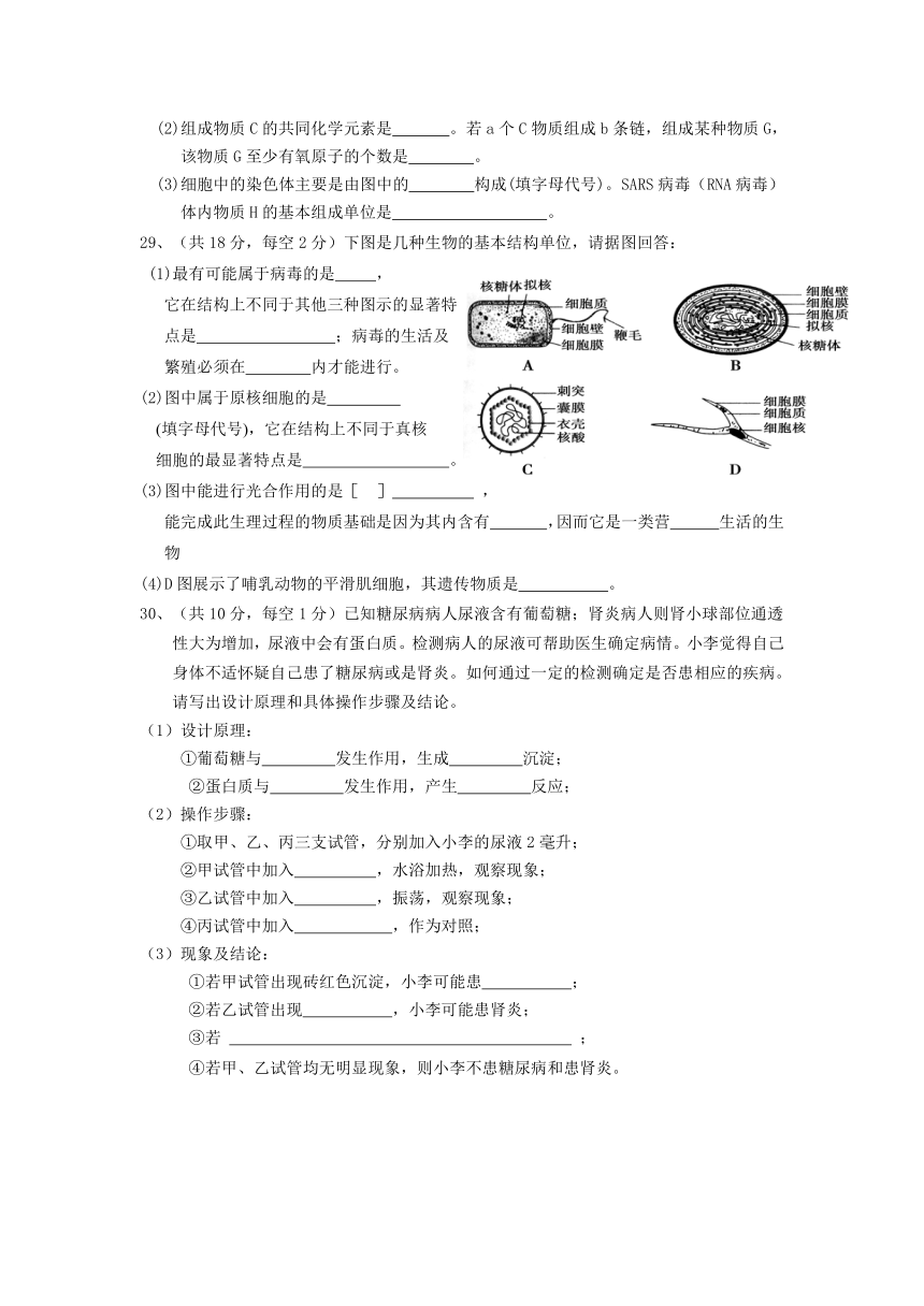 广东省茂名高州中学2012-2013学年度高一上学期期中考试生物试题