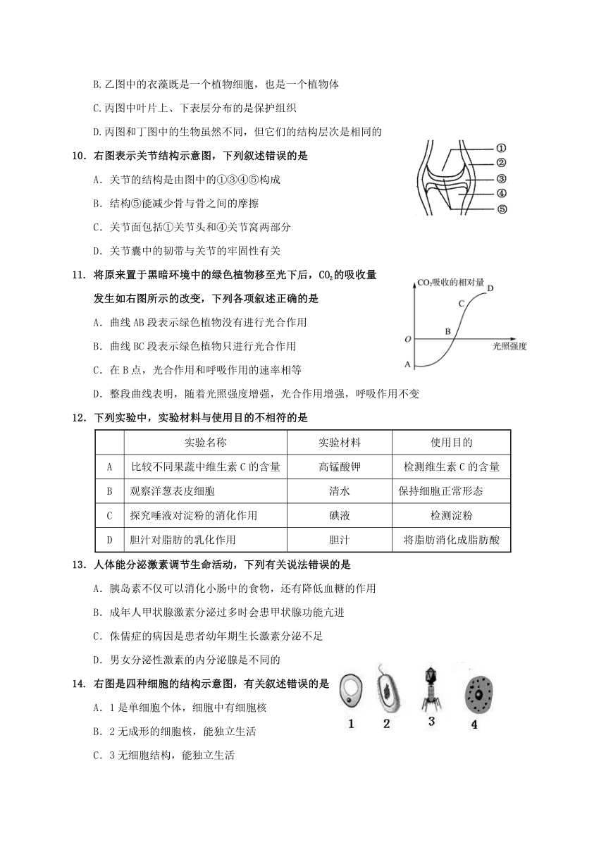 山东省济南市槐荫区2018届学业水平阶段性调研测试（一模）生物试题