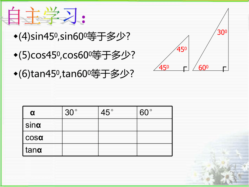 1.1 锐角三角函数（2）  课件