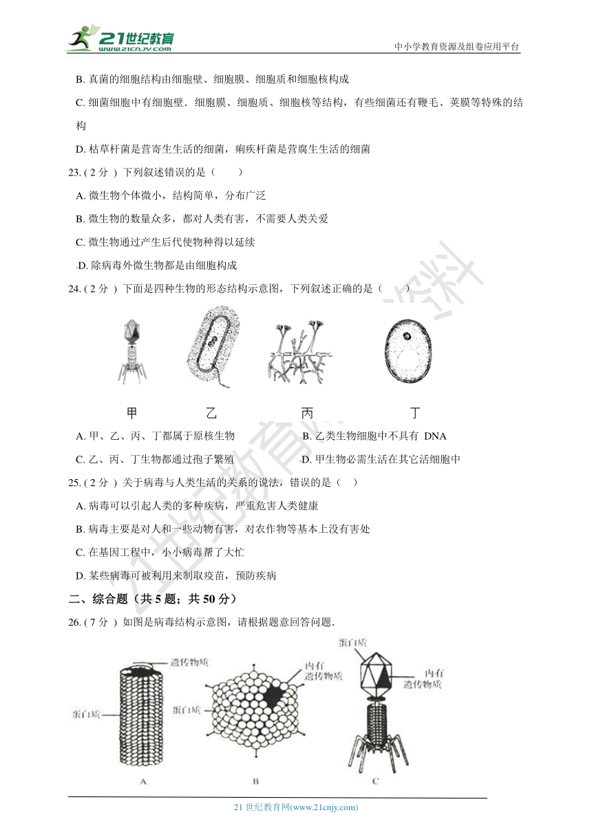 人教版生物八年级上册 第五章 病毒 综合与测试