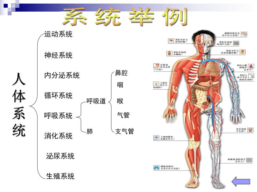 第一节  认识系统课件