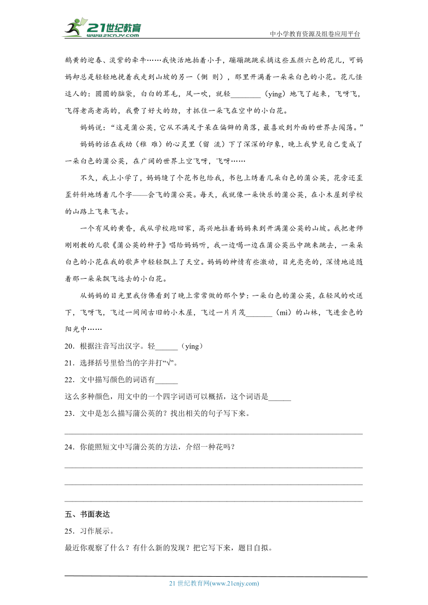 课件预览