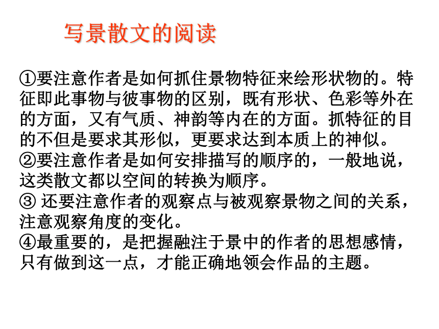 中考语文复习  散文阅读技巧  课件 (共45张PPT)