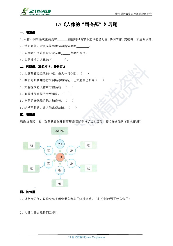 1.7《人体的”司令部“》(练习)