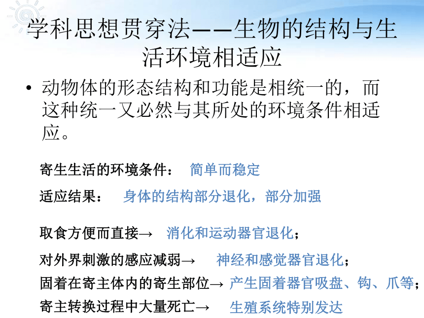 人教版生物八年上 第一章第二节线形动物和环节动物