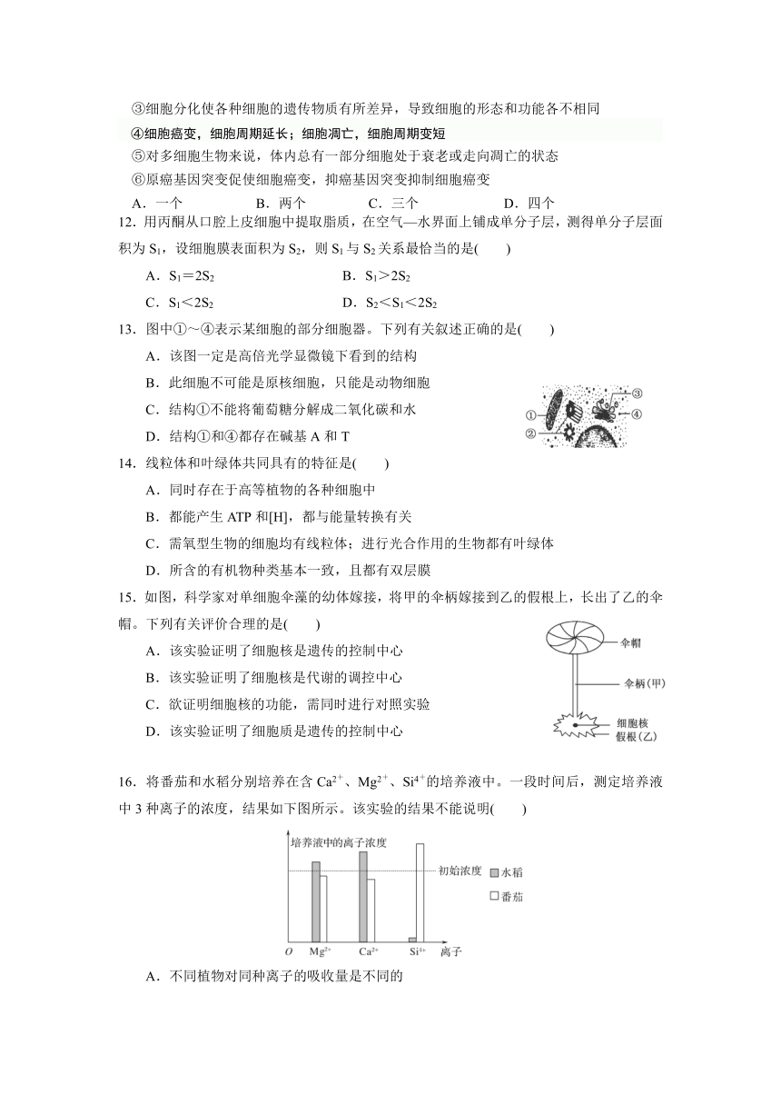 甘肃省嘉峪关市一中2012-2013学年高二上学期期末考试生物试题