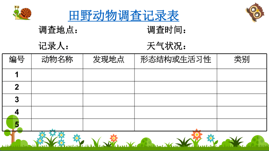 4.1 田野动物调查 课件（共16张PPT）
