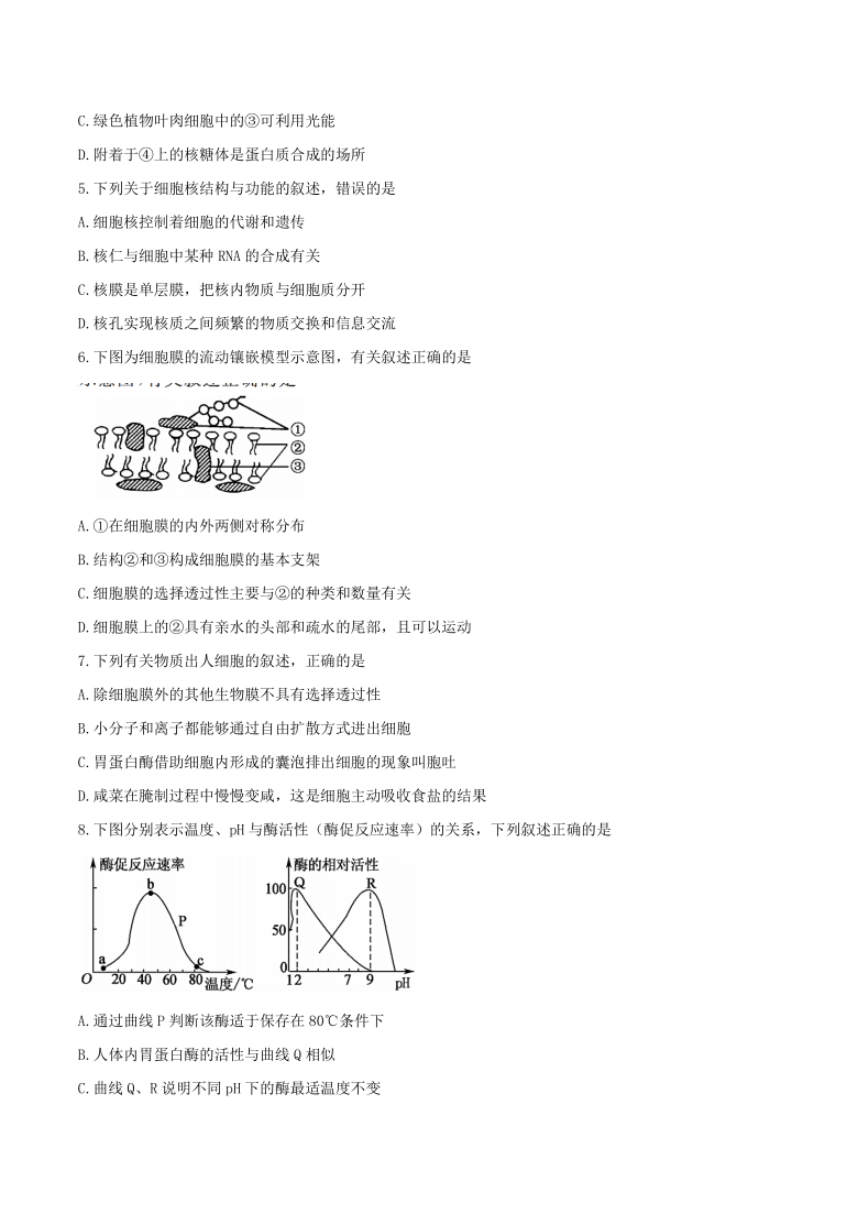 安徽省六安市两校2020-2021学年高一下学期4月第一次联考生物试题 Word版含答案