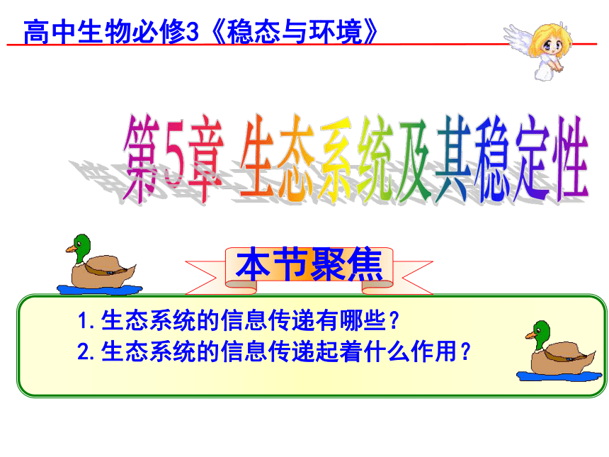 2017-2018学年人教版必修3 生态系统的信息传递 课件（53张）