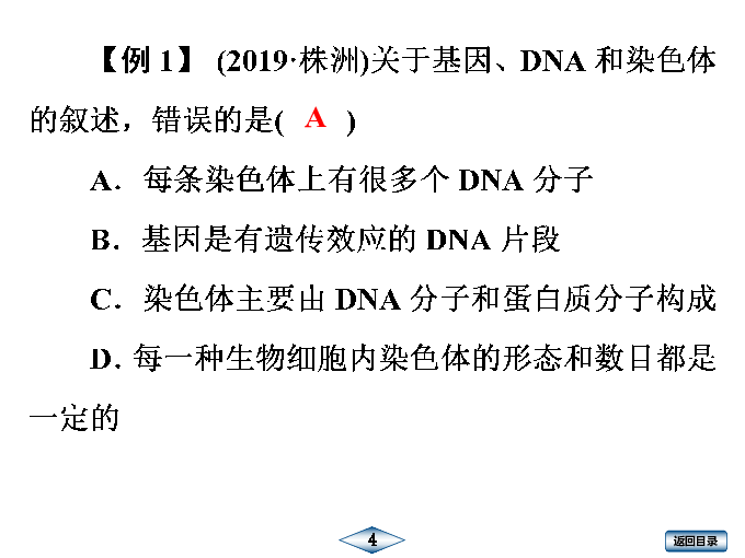 专题10  生物的遗传与变异课件（36张PPT）