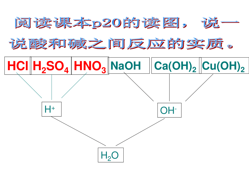 第5节 酸和碱之间发生的反应