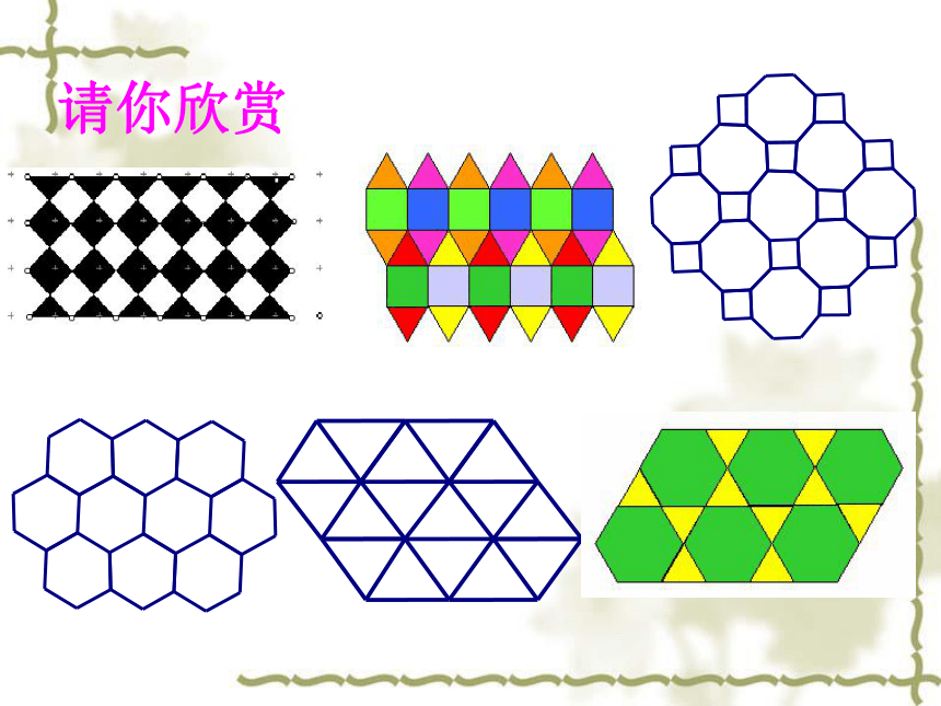 人教版八年级上册数学课件:第十一章三角形 数学活动 平面镶嵌(共38张