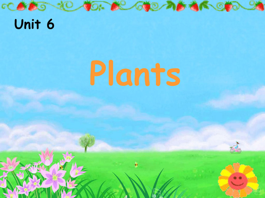 2013年深圳市罗湖区小学四年级第八册Unit6 Plants教学课件