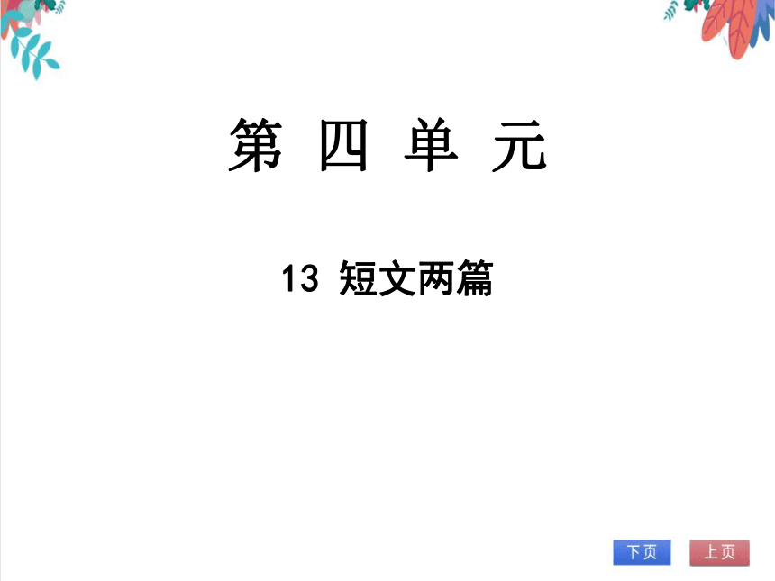 课件预览