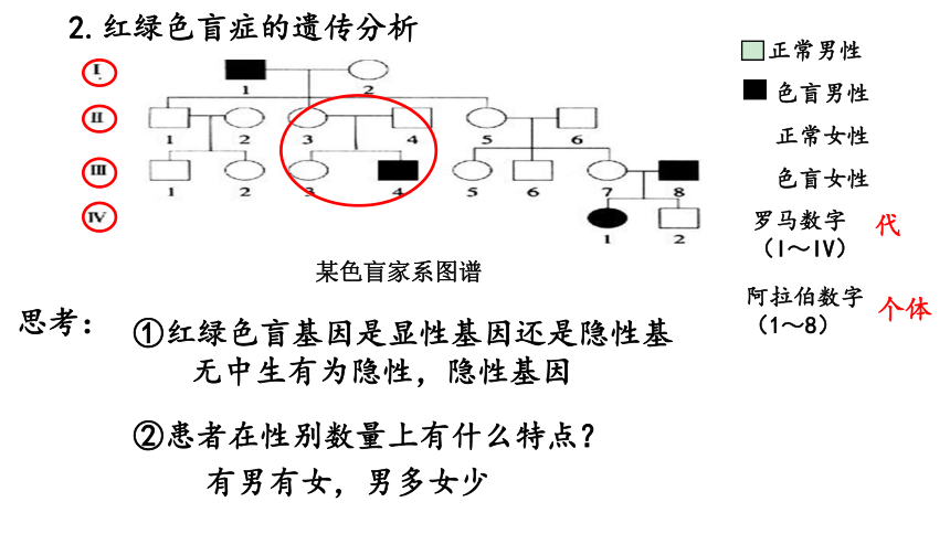 伴性遗传ppt图片