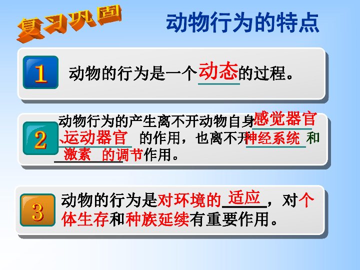 冀教版八上生物 4.2.2动物行为的类型 课件  (48张PPT)