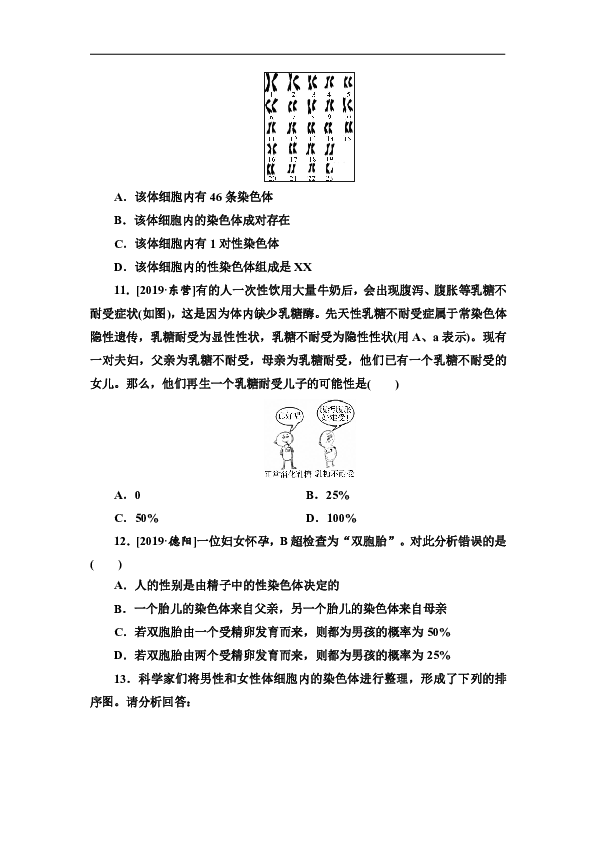 人教版八年级生物下册同步练习：第七单元第2章　第4节　人的性别遗传（含答案）