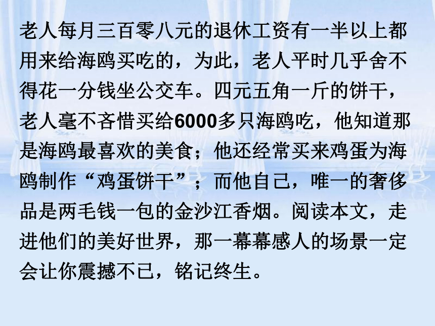 《老人与海鸥》课件