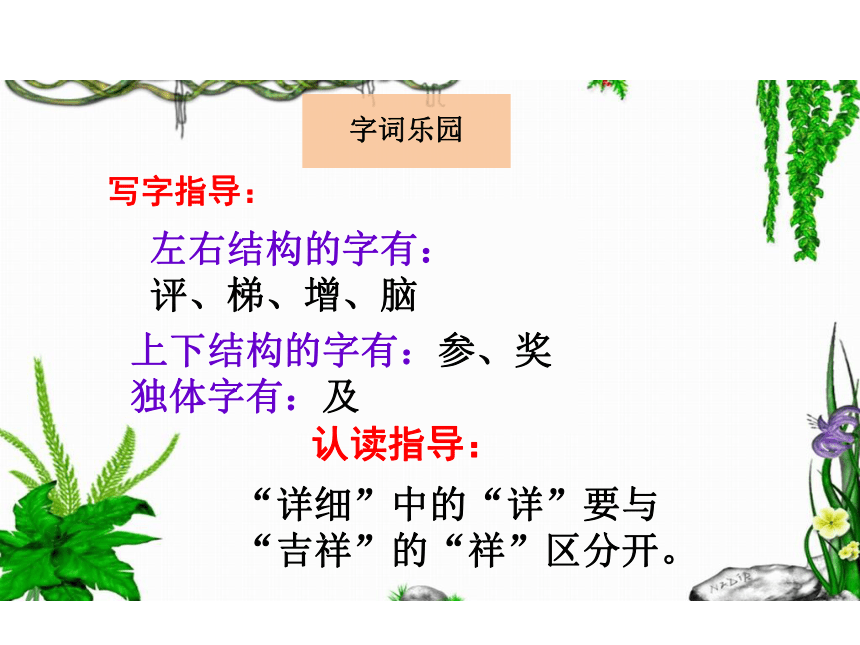 7  苏红的画 课件