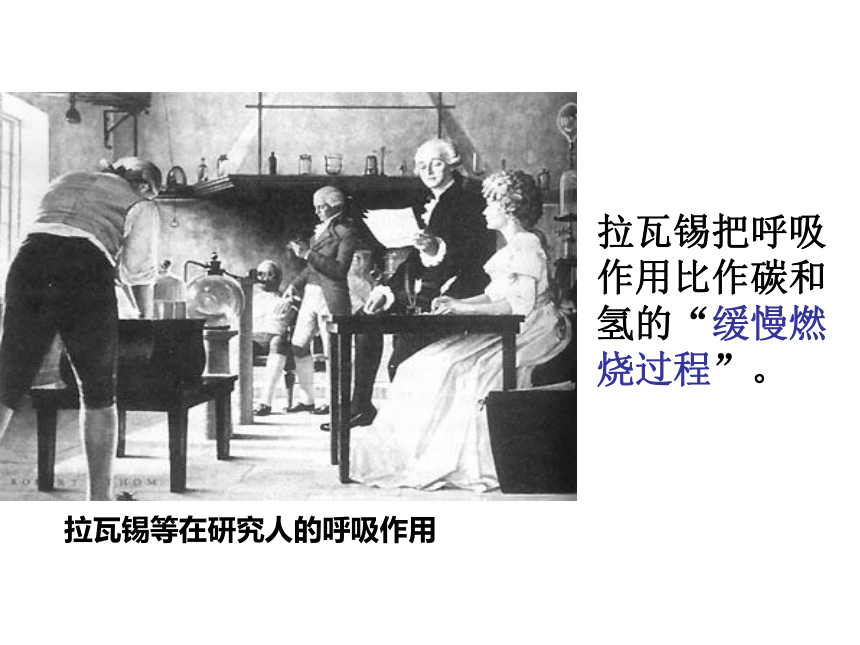 2021-2022学年高一上学期生物人教版必修一5.3ATP的主要来源——细胞呼吸课件（62张ppt）