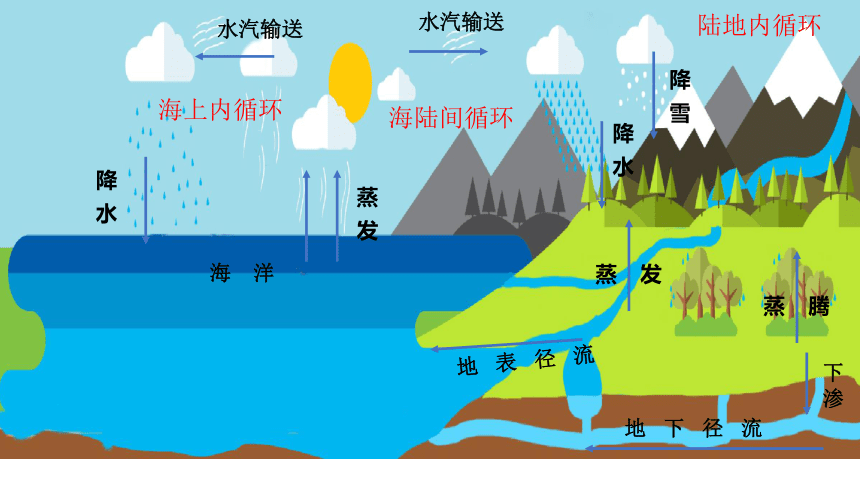 水循环过程示意图图片