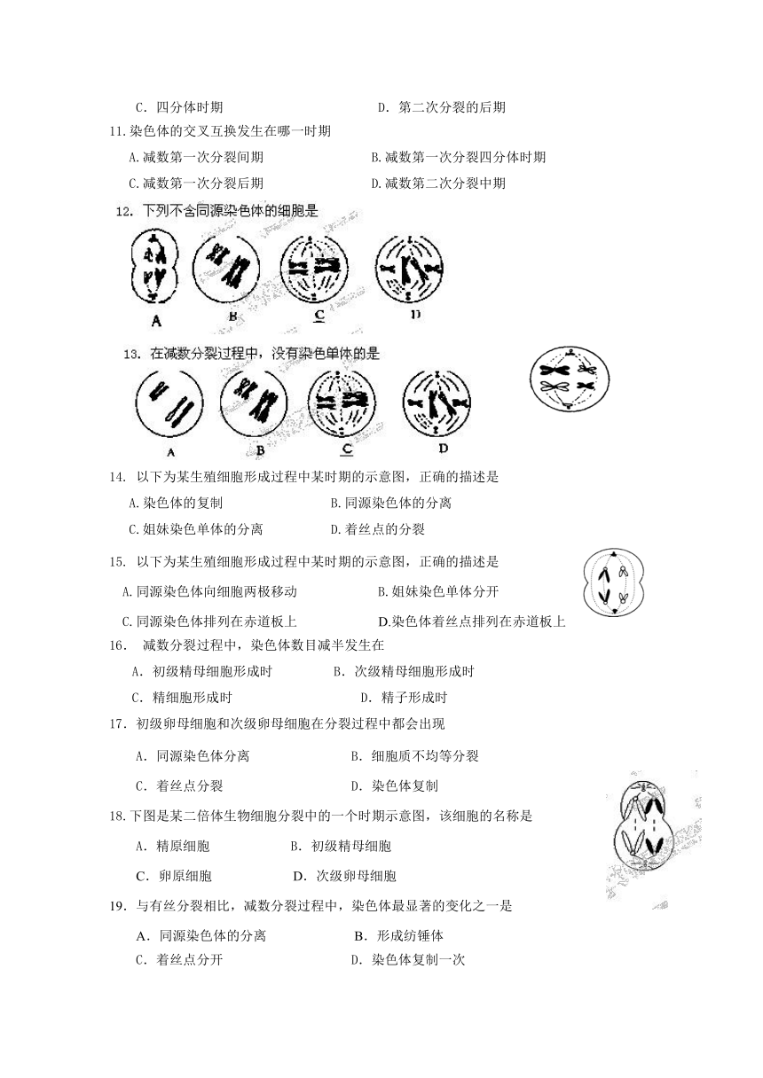 江苏省泗洪县洪翔中学2013-2014学年高一下学期第一次学情调研考试生物试题