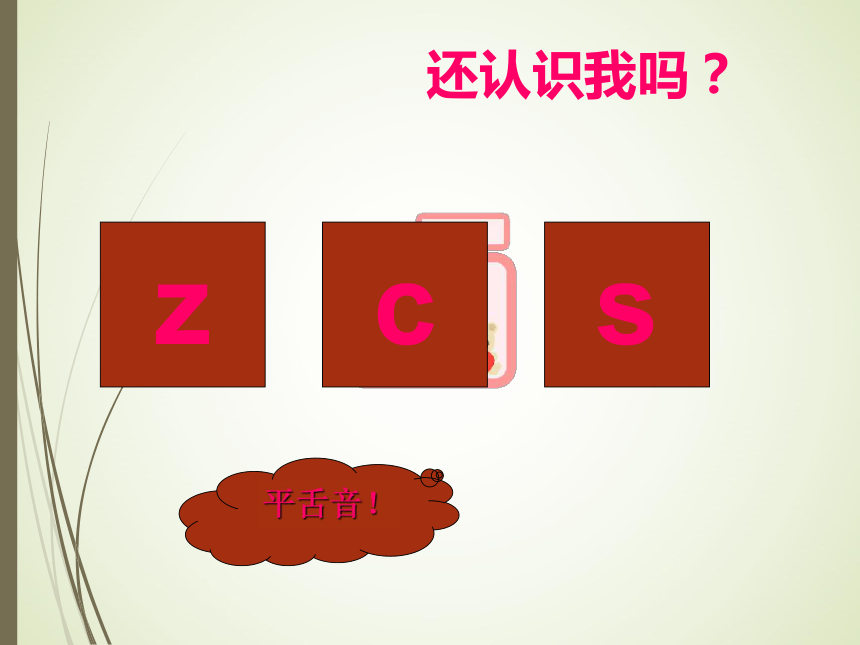 部编版语文一年级上册8.zhchshr课件