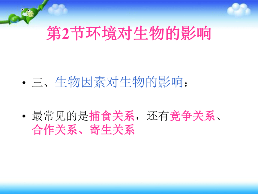 人教版七年级上册生物 总复习 课件        (共88张PPT)