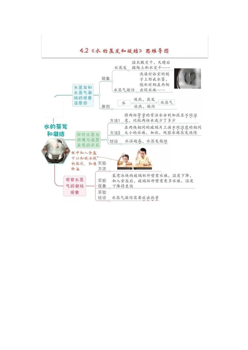 教科版2017秋科学五下第四单元思维导图