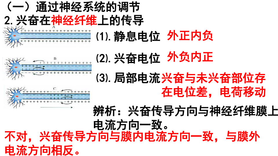 2019人教版年高二生物必修三第二章复习课件