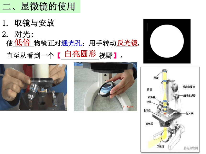 显微镜对光步骤图片