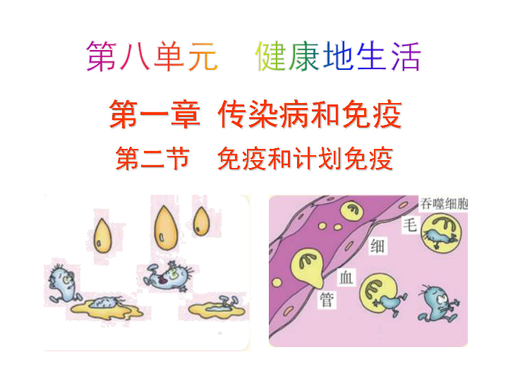 人教版初中生物八年级下册课件8.1.2 免疫与计划免疫课件（共25张PPT）