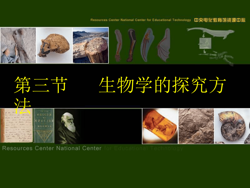 七上1-1-3 生物学的探究方法 课件（共20张PPT）