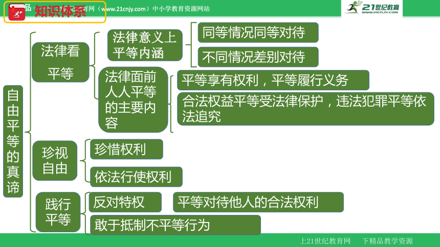 第七课 尊重自由平等  复习课件