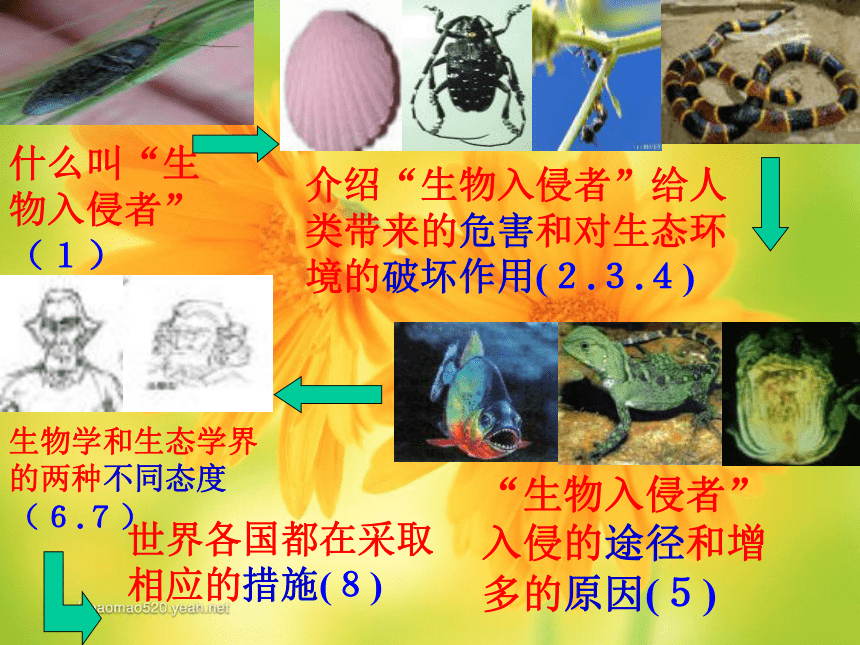 生物入侵者