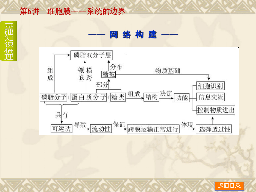 【新课标人教通用，一轮基础查漏补缺】第5讲　细胞膜——系统的边界 （49ppt）