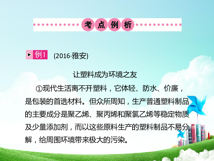 2017年四川省中考语文复习课件：第13讲 说明文阅读