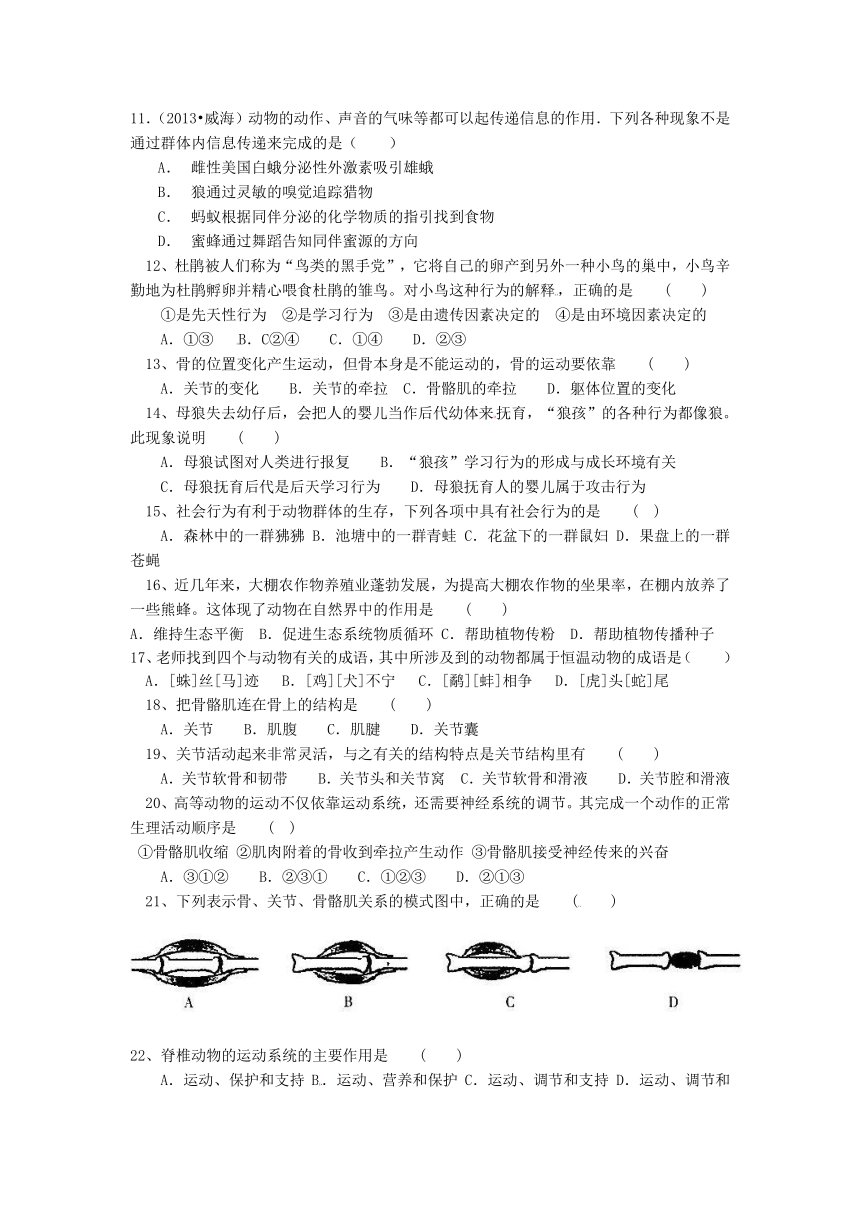 福建省霞浦八中2013-2014学年第一学期生物教学标准评价卷期中检测题（无答案）