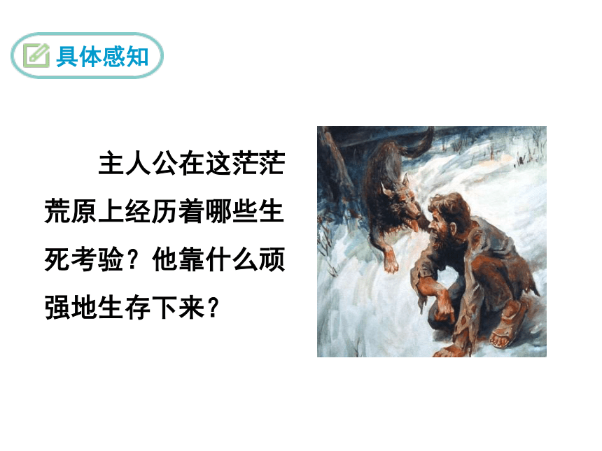 语文苏教版九年级下册 七、热爱生命课件（31张ppt）