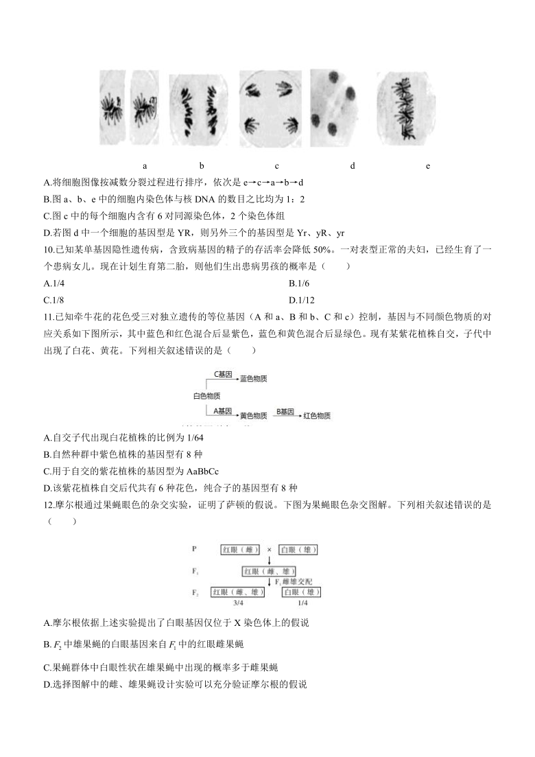 辽宁省大连市2020-2021学年高一下学期期末考试生物试题 Word版含答案