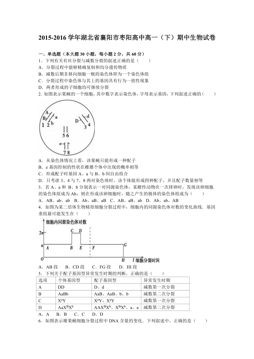 湖北省襄阳市枣阳高中2015-2016学年高一（下）期中生物试卷（解析版）