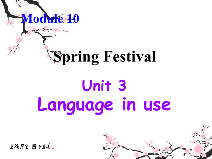 Module 10 Spring Festival Unit 3 Language in use课件（36张PPT）