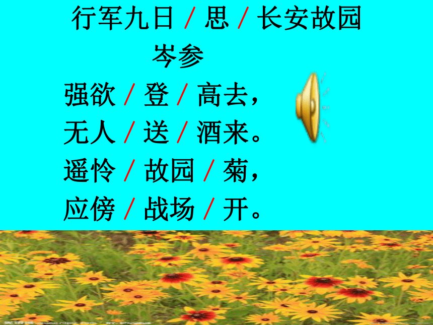 课件预览