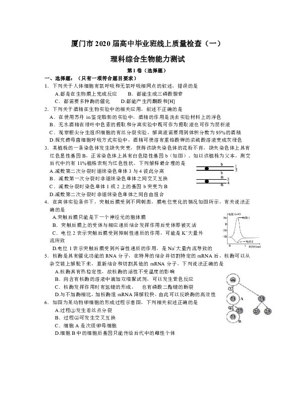 福建省厦门市2020届高三毕业班3月线上质量检查（一）理科综合生物试题