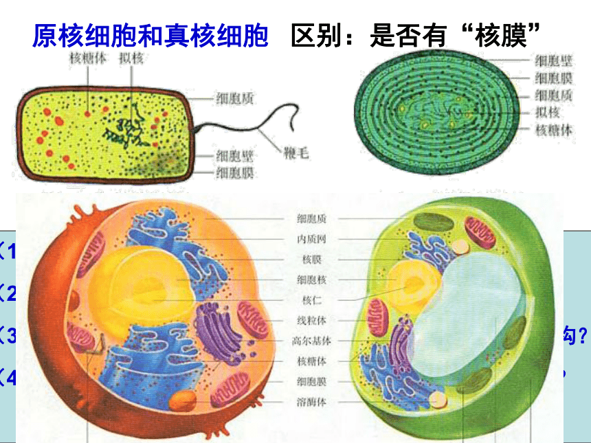 细胞的多样性和统一性(山东省荷泽地区菏泽市)