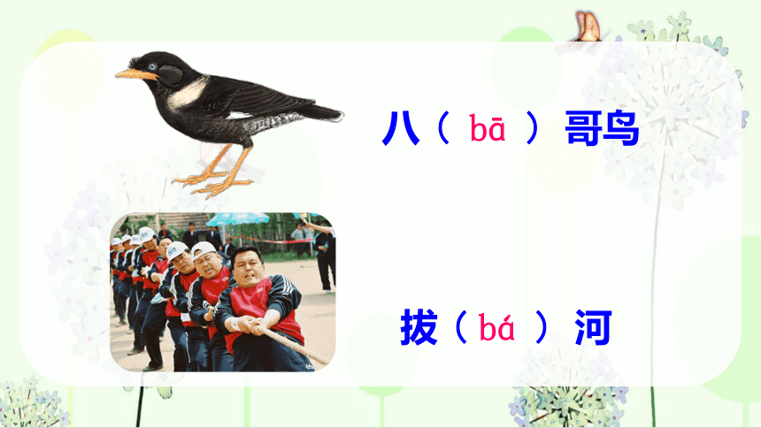 b p m f课件 (共32张PPT)